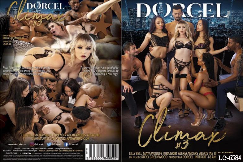 我达到最高潮了 3